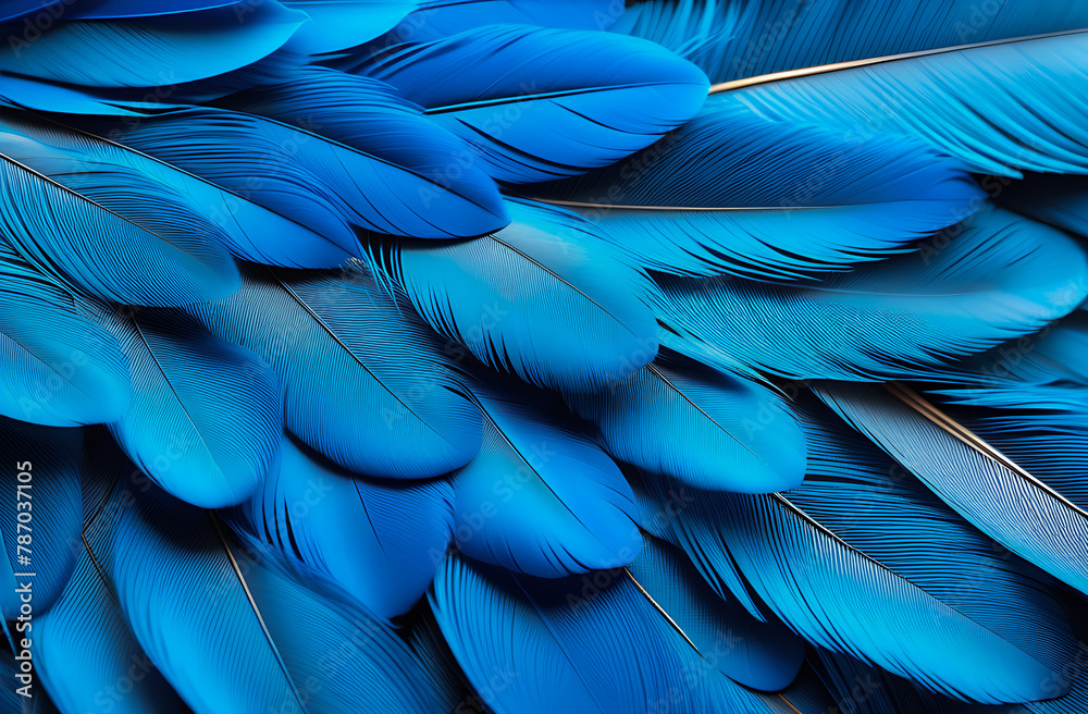 Blue macaw bird feathers, detailed, background for design, wallpaper Blue macaw bird feathers, detailed, background for design, wallpaper