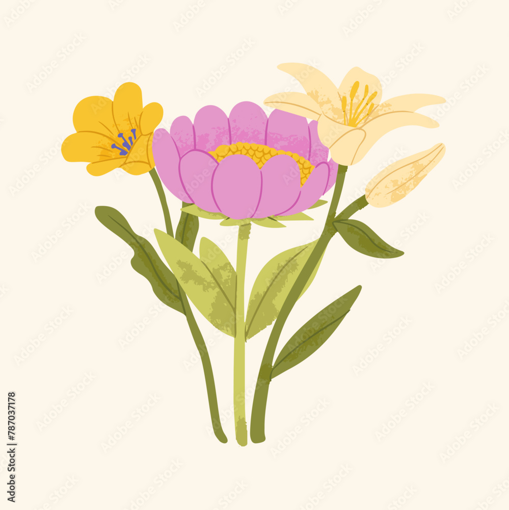 Hand drawn vector flower bouquets. Camomile, peony and lily. Colored trendy illustration. Flat design. Paper cut style. All elements are isolated. Bouquet of spring and summer