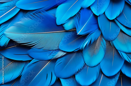 Blue macaw bird feathers, detailed, background for design, wallpaper © Alena Gerasimova