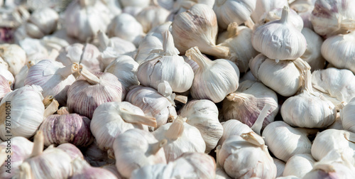 Pile of dry garlics in market