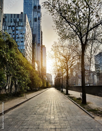 Menschenleere Straßen in einer Großstadt - Bäume und Laternen zieren die Straßen photo