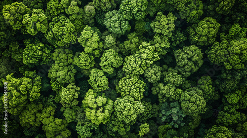 Witness the beauty of nature from above in an AI-generated image showcasing an aerial top view of lush green trees in a forest  captured by a drone to highlight the dense green canopy capturing CO2. 