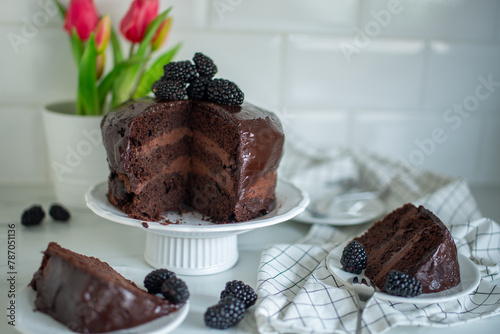 Chocolate fudge cake. Decorate with curl of dark chocolate