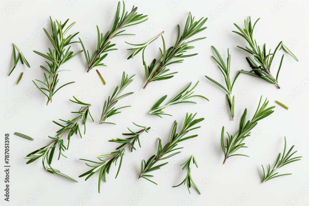 An overhead shot of fresh rosemary scattered randomly on a white surface, creating a natural and organic look. An overhead shot of fresh rosemary scattered randomly on a white surface, creating a natural and organic look.