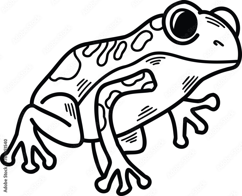 A frog with eyes is sitting on a white background A frog with eyes is sitting on a white background