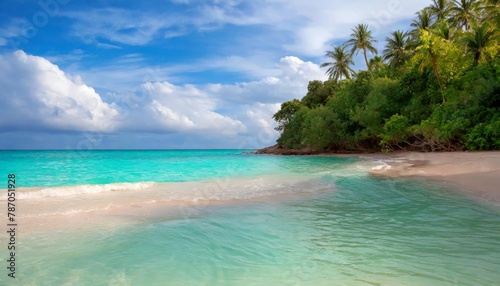 Pristine beach with crystal-clear waters and lush palm trees under a serene sky
