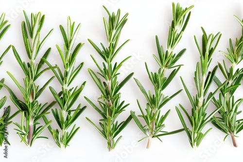 A close-up image of neatly arranged fresh rosemary on a white background, creating an aesthetically pleasing composition.