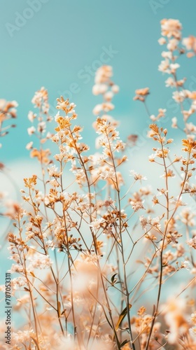 Soft focus shot of pastel-colored flowers against a distinct teal backdrop, conveying a warm, dreamy mood