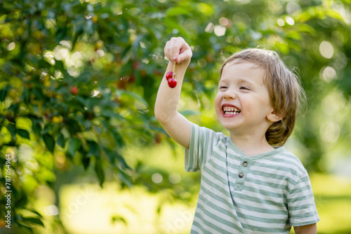 Cute little boy eating fresh organic cherries freshly harvested from the tree on sunny summer day. Kid having fun on a cherry orchard.