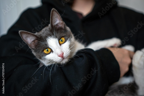 A woman is holding a kitten in her arms. The kitten is gray and white. The woman is wearing a black hoodie.