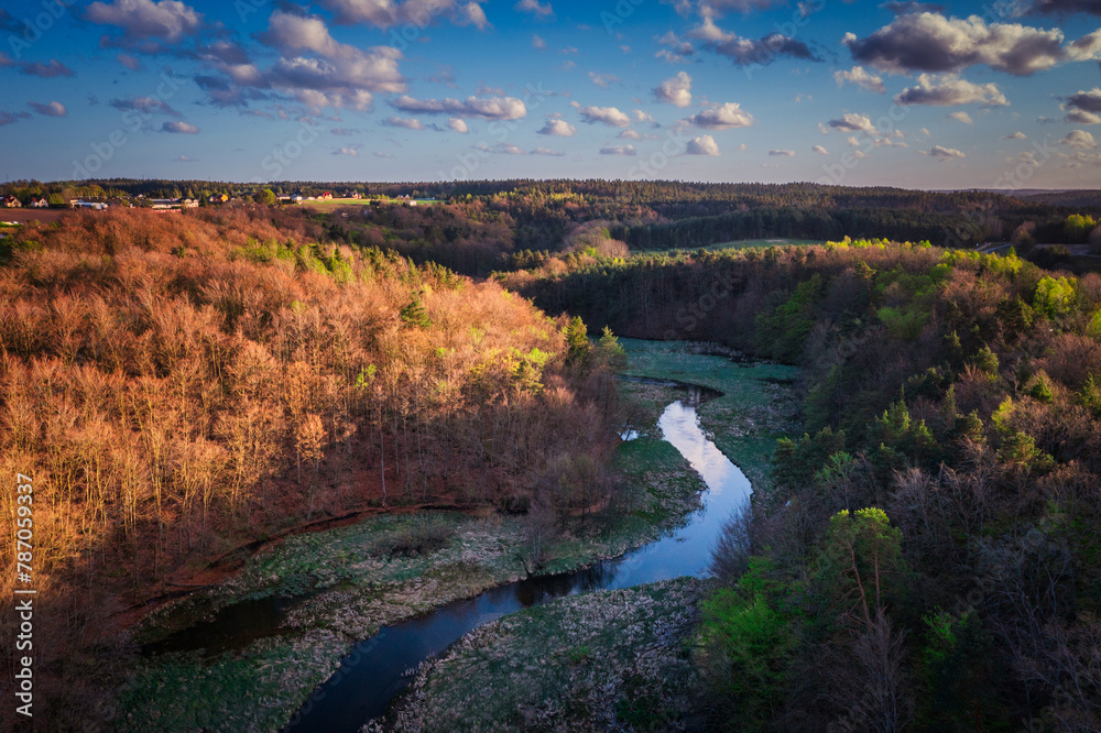 Spring landscape of the forest and twisted Radunia river in Kashubia. Poland