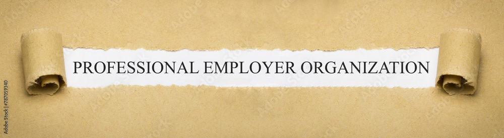 Professional Employer Organization