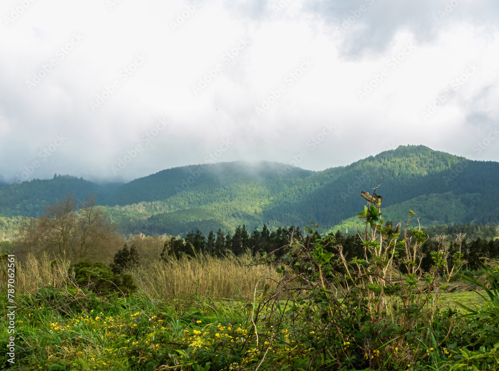 Obraz premium The hills on San Miguel, Azores in the wet fog. 