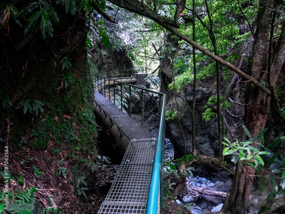 Obraz premium One of the best hikes on San Miguel, Azores - Salto do Cabrito. 