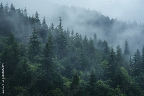 Misty mountain forest, ideal for active hiking adventures and outdoor exploration. © Наталья Добровольска