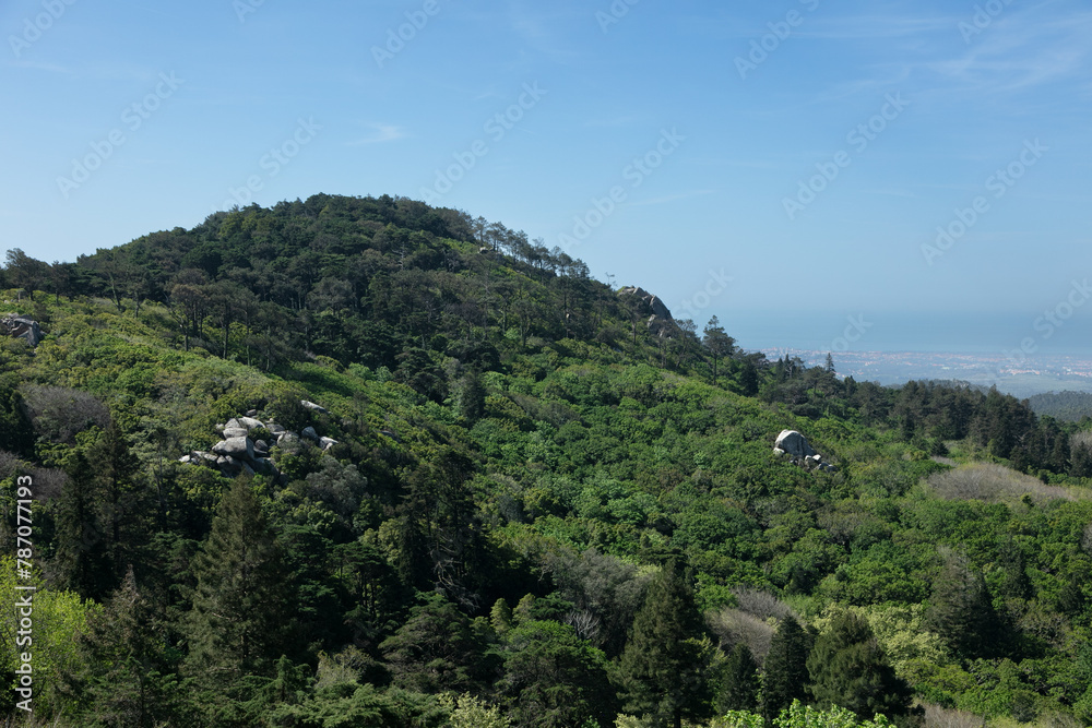 mountain with forest in Serra de Sintra mountain with forest in Serra de Sintra