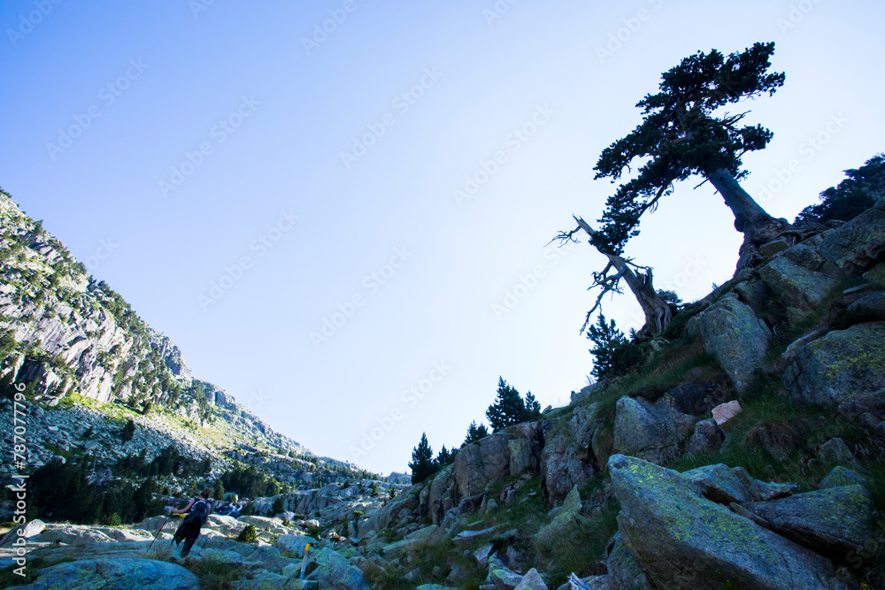 Young hiker woman in Vall de Boi, Aiguestortes and Sant Maurici National Park, Spain