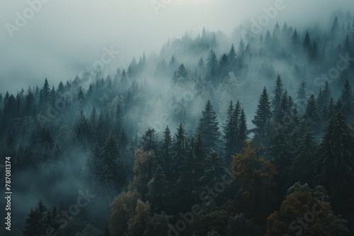 Misty mountain forest, ideal for active hiking adventures and outdoor exploration. photo