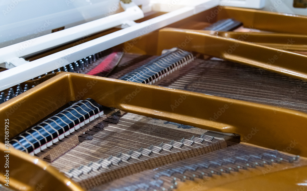 Internal structure of grand piano Internal structure of grand piano