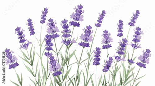 Lavender flower design illustration vector eps format