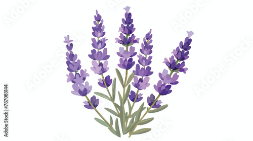 Lavender flower design illustration vector eps format
