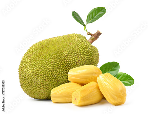 Ripe Jackfruit with bulbs isolated on white background. photo