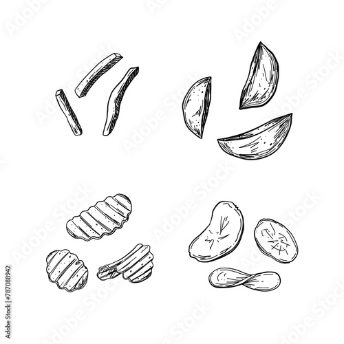 Various kinds of fried potatoes: French fries, potato country style, simple chips, grooved chips. Vector set, sketch style.