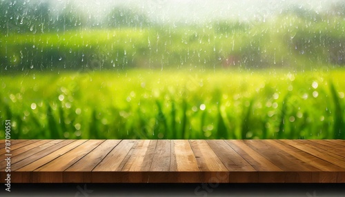 Rustic Rainfall: Perspective View with Raindrops and Green Farm Scene