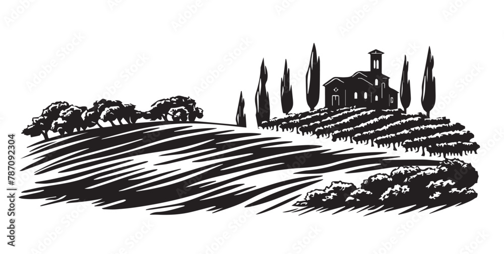 Vineyard landscape, Sketch, hand drawn illustrations. Vineyard landscape, Sketch, hand drawn illustrations.