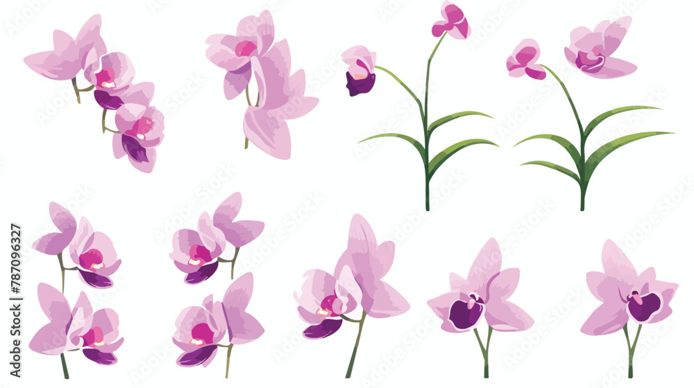 Minimalist Orchid Sketches minimalist design orchid illustration