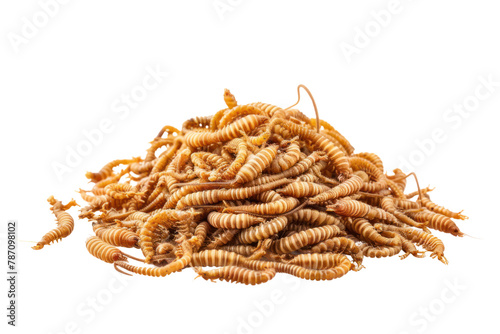 group of worms .isolated on white background