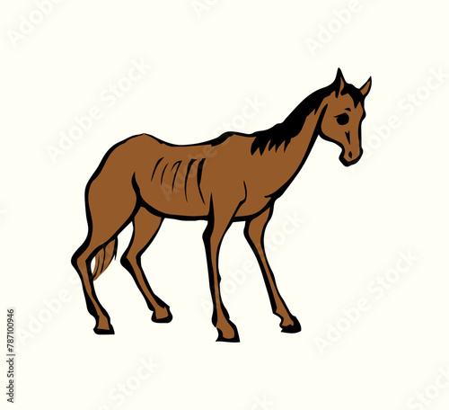 Starving skinny horse. Vector drawing © Marina