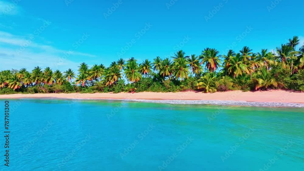 Sea coast with palm jungle on Hawaiian beach. A picturesque sea bay near a tropical island. Azure Atlantic Ocean and palm trees. Travel to a tropical paradise. Wildlife of Central America. Sea coast with palm jungle on Hawaiian beach. A picturesque sea bay near a tropical island. Azure Atlantic Ocean and palm trees. Travel to a tropical paradise. Wildlife of Central America.