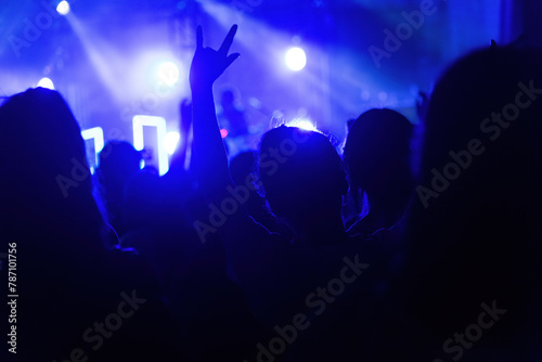 People hand making rock gesture at the concert