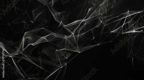 Monochrome photo of spider web on Dark background with Twig and Plant details