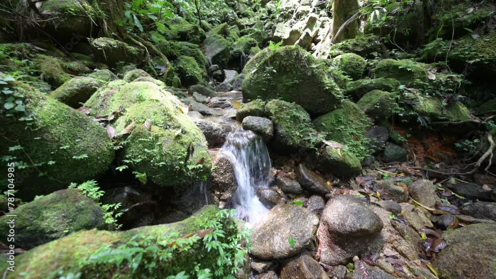 Beautiful waterfall in the green forest Beautiful waterfall in the green forest