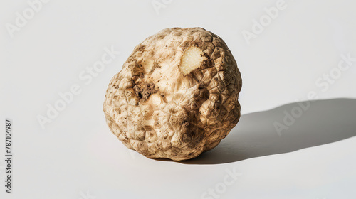 Realistic photo of truffle. Creative artistic diplay of fresh ingredients. AI Generative. 