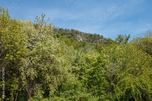 View of the hilltop.