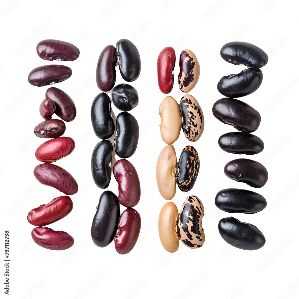 A neatly arranged row of multicolored beans, including kidney beans, black beans, and pinto beans, celebrating diversity and nutrition, isolated on transparent background A neatly arranged row of multicolored beans, including kidney beans, black beans, and pinto beans, celebrating diversity and nutrition, isolated on transparent background