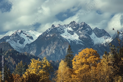 Mountain Range With Foreground Trees