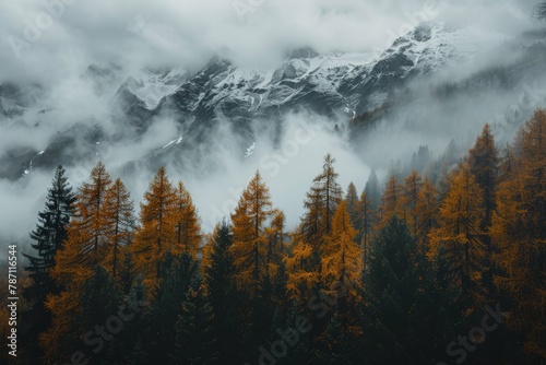Foggy Mountain Landscape With Trees