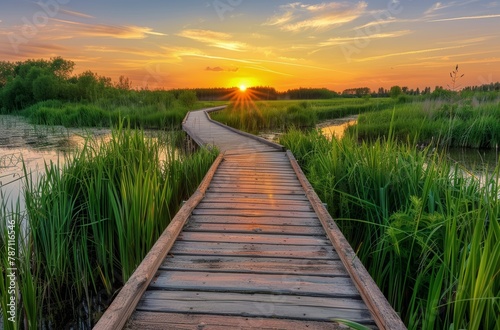 Wooden Walkway Leading to Marsh at Sunset