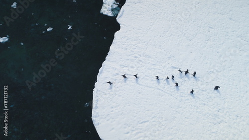 Gentoo penguin's aerial dive into Antarctic waters. Witness the wild bird's plunge from snowy land to icy coastal ocean near glacier. Capture the winter arctic wildlife swim behavior in drone flight photo
