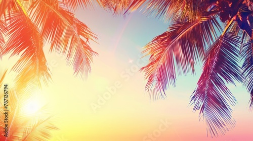 Summer vacation banner. Romantic vibes of tropical palm tree sunlight on sky background. Outdoor sunset exotic foliage closeup nature landscape. Coconut palm trees shining sun over bright sky panorama