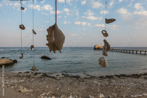 shells and corals strung on a string from a umbrella at the beach and red sea