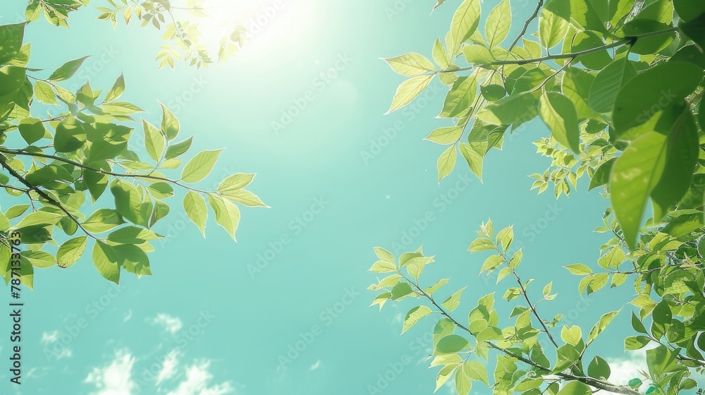 Branches and Leaves Reaching Towards the Sky on a Radiant Day Branches and Leaves Reaching Towards the Sky on a Radiant Day
