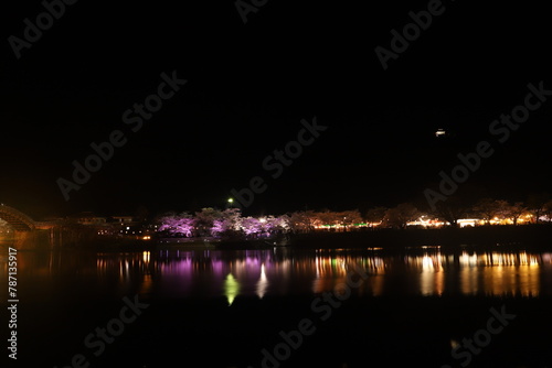 『錦帯橋とサクラ』夜桜 ライトアップ 山口県岩国 #日本観光 Kintai Bridge 