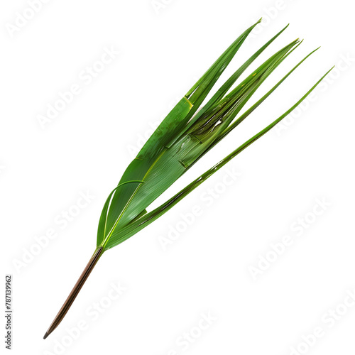 A quill dipped in a vibrant, green chive oil, ready to pen recipes that have been passed down through generations, isolated on transparent bbackground photo