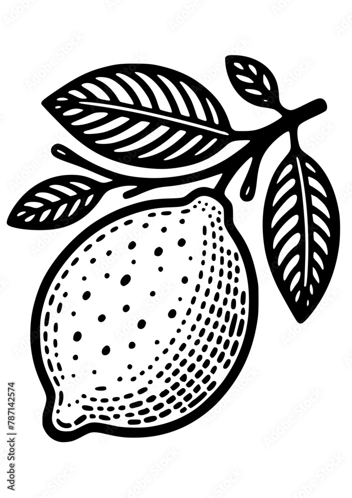 Lemon SVG, Lemon Line Art, Lemon Art Print, Lemon Silhouette, Citrus ...