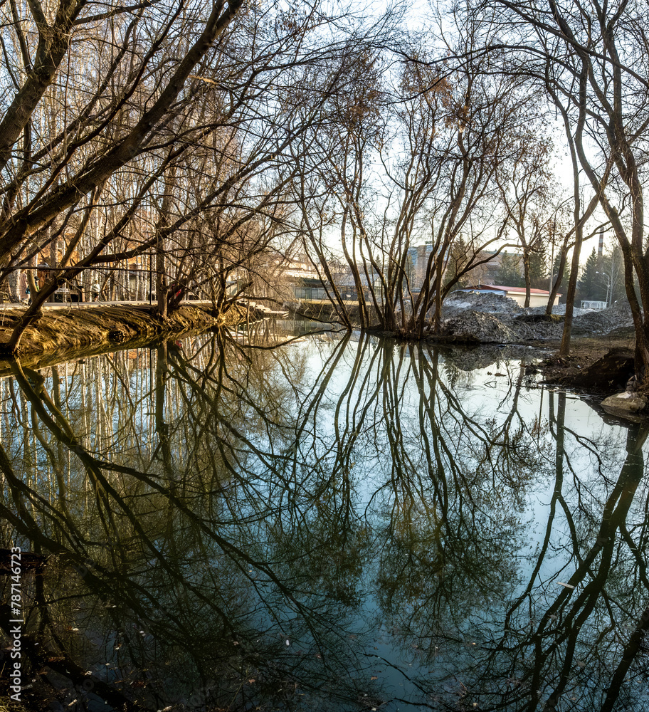 Obraz premium Reflection of trees in a pond on a summer day.